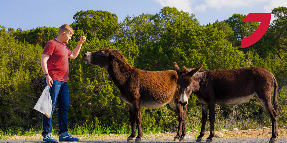 2. Gün: Dillere Destan Karpaz Yarımadası – Macera Başlasın!